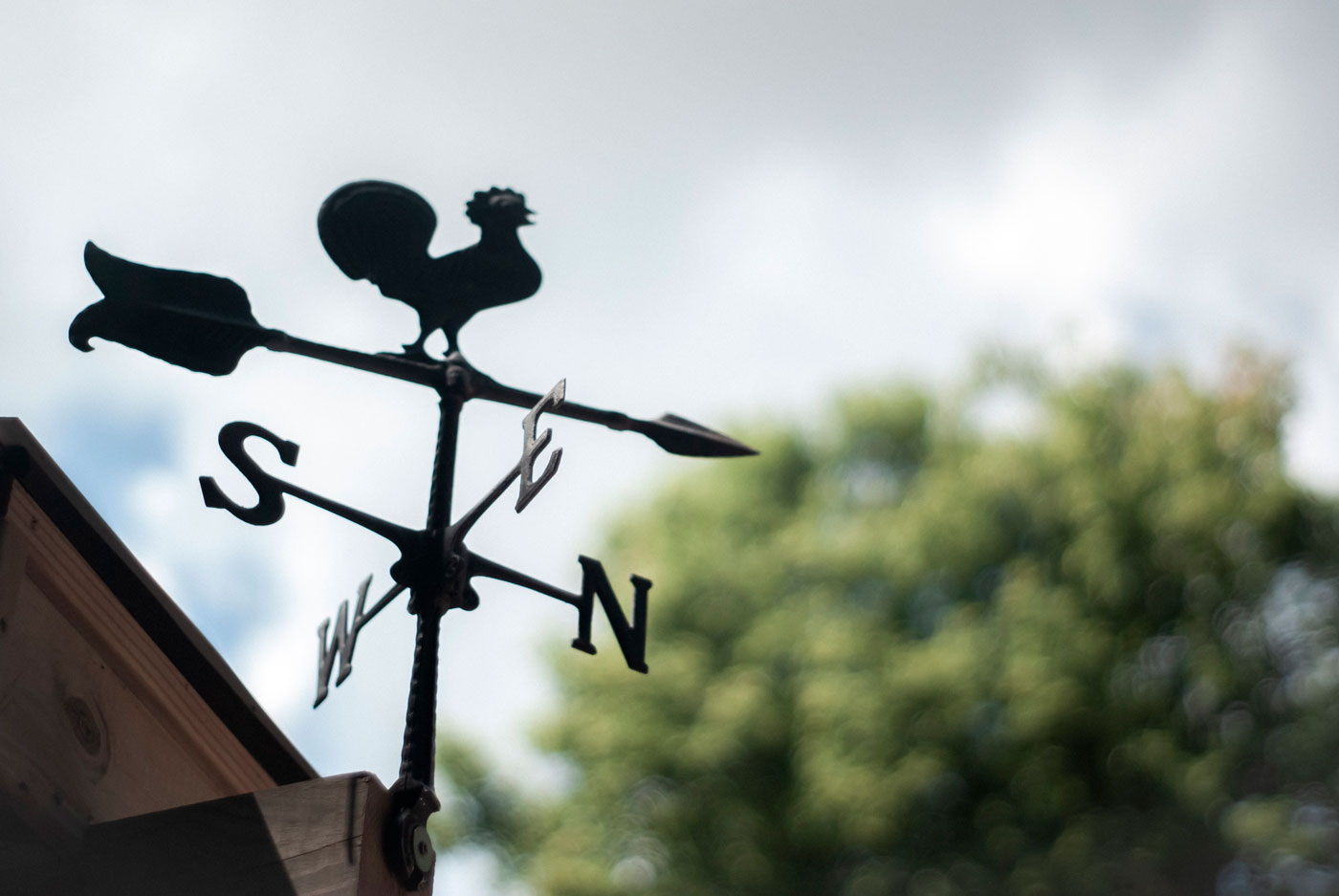 Practical, passionate, and professional.